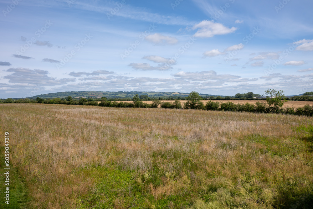Fototapeta premium Open meadow and farmland with Bredon Hill in the distance under a summer sky near Ashchurch, Tewkesbury, Gloucestershire, England