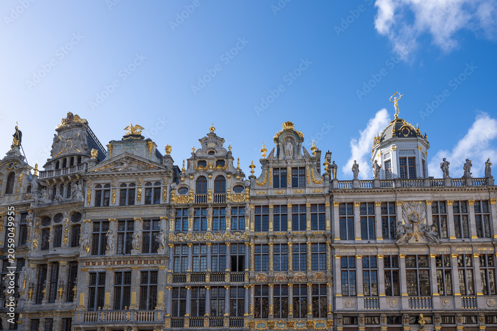 Fototapeta premium Brussels is the capital of Belgium, the French Community of Belgium, and the Flemish Community. It is also the de facto capital of the European Union.