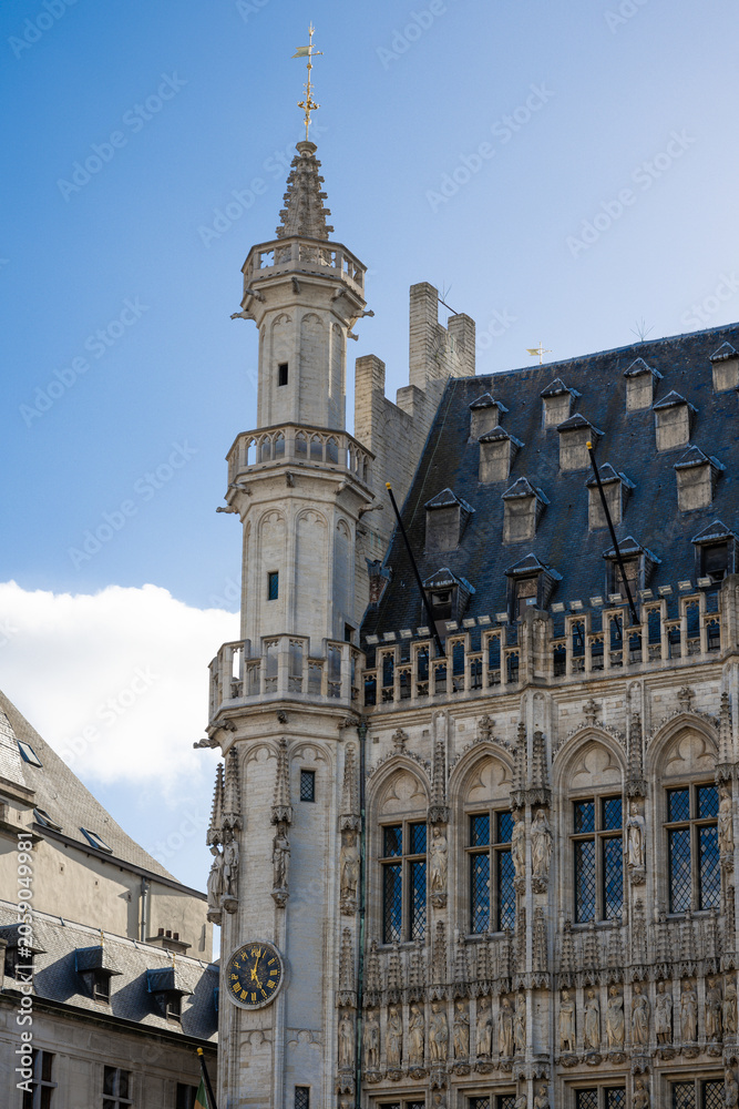 Obraz premium Brussels is the capital of Belgium, the French Community of Belgium, and the Flemish Community. It is also the de facto capital of the European Union.
