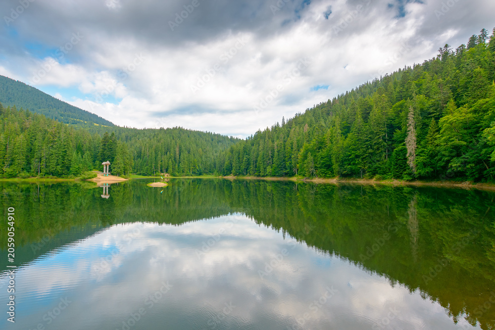 Fototapeta premium landscape by the lake on cloudy morning. coniferous forest near the lake and the forest mountain. awesome summer view of carpathian mountain reflection on synevr lake water surface. clean environment