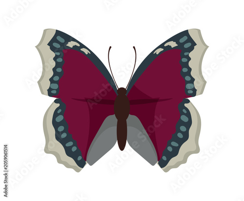 Flat vector illustration of a mourning cloak butterfly nymphalis antiopa isolated on white background.