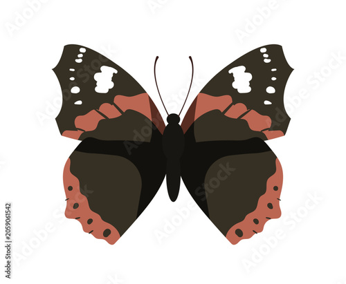 Принти на полотні Flat vector illustration of a red admiral vanessa atalanta butterfly insect isolated on white background