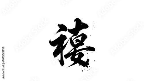 Elegant Chinese Calligraphy Character 