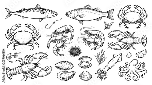 Tableau sur toile Seafood vector bundle with fish lobster crab shrimp and oyster sketches
