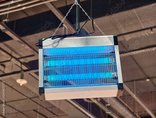 Fotografie Electric UV insect killer lamp hangs in store and actively traps flies and mosquitoes