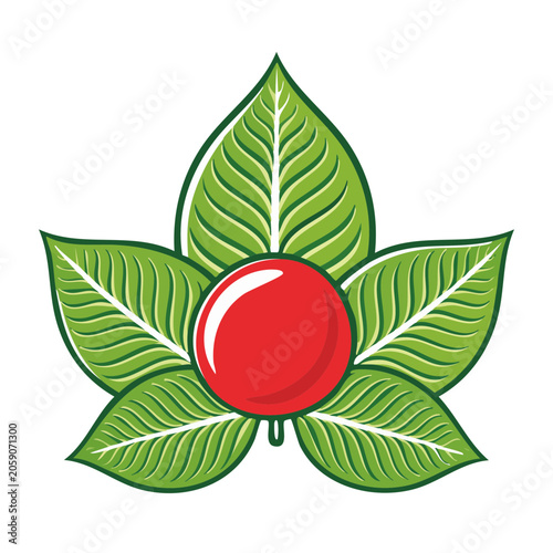 Maple Leaf Cluster with Red Berry Illustration