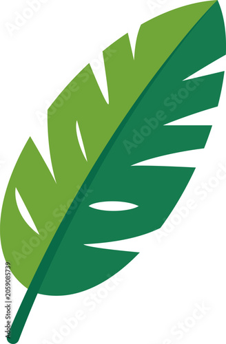 Large Green Leaf With a Distinct Shape Resting on a Simple White Background