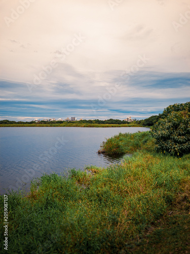Serene view of a calm lake or lagoon bordered by green grass and bushes, with a distant cityscape on the horizon under a cloudy sky.