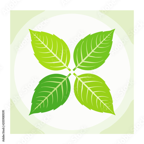 Four Green Leaves in Symmetrical Flat Design