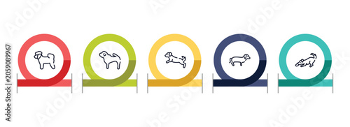 Tableau sur toile dog and training outline icon set featuring bichon, shar pei, dog scaping, dachshund icons
