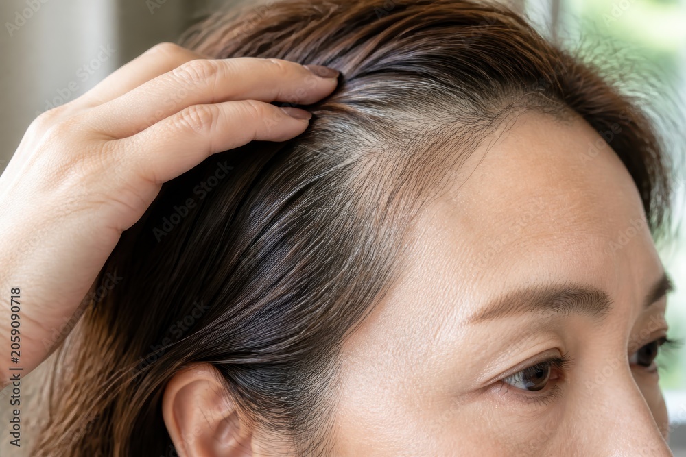 Naklejka premium こめかみの白髪を手で見る大人女性の悩み