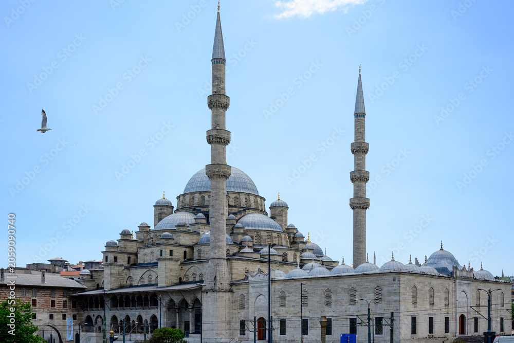 Fototapeta premium Eminonu Mosque architecture Istanbul Turkey