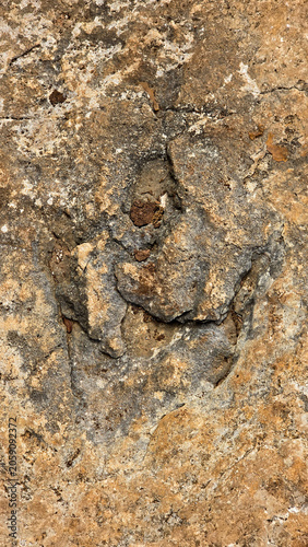 Close-up of Natural Rough Stone Surface Texture