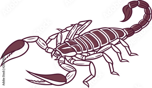 Fotografie scorpion isolated on white