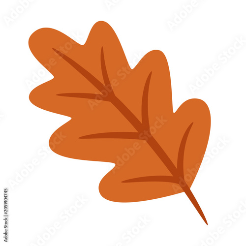 Oak Leaf in Orange Color on White Background Showing the Shape and Details of...