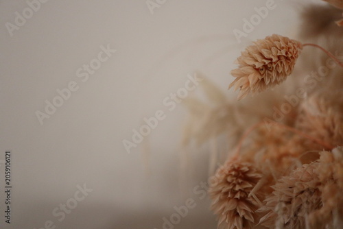 Dried flowers bouquet macro background with copy space