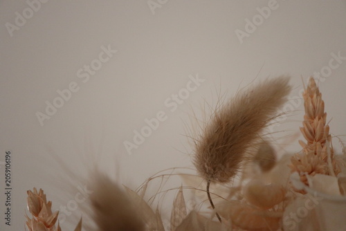 Dried flowers bouquet macro background with copy space