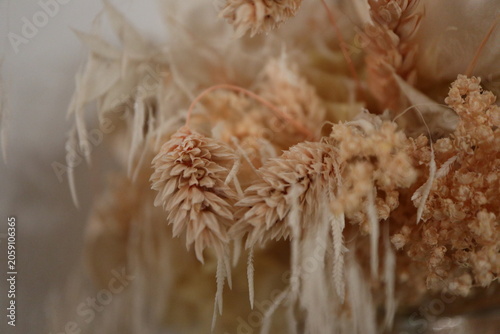 Dried flowers bouquet macro background with copy space