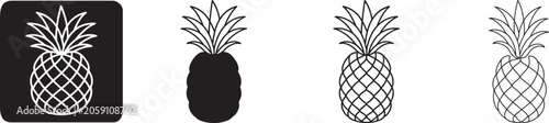 Pineapple tropical fruit vector icon set.