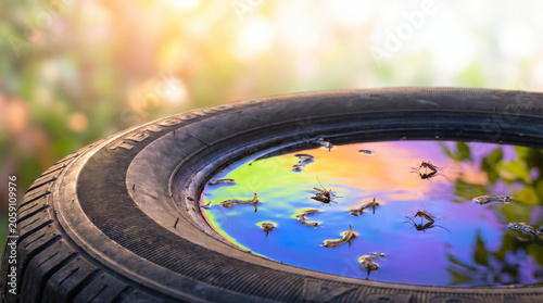 Tire filled with water reflecting colorful light in outdoor setting  
