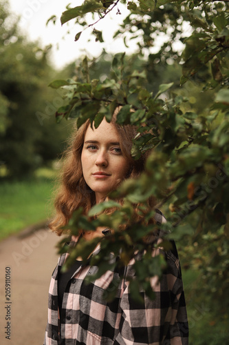 Hiding in the Greenery: The Aesthetics of a Forest Walk