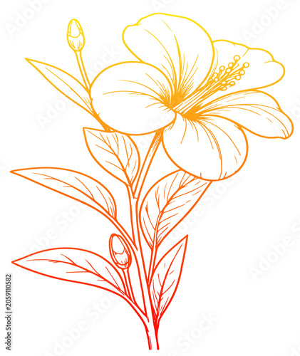 vector illustration of flowers