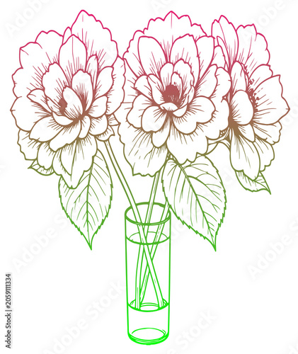 pink peony in vase