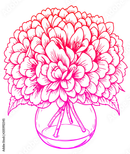 pink dahlia flower vector