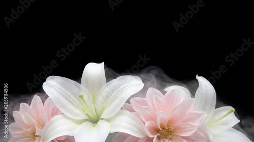White lilies and pink dahlias on bottom of black background with wide top copy space