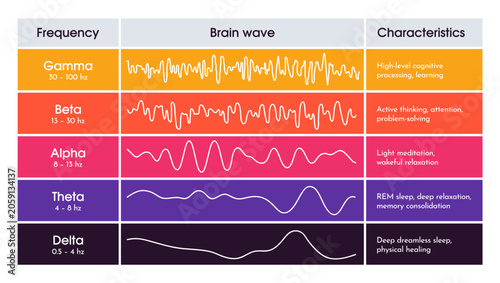 EEG brain waves diagram. Educational medical infographics with different kinds of waveforms produced by brain activity. Analysis of cognitive functions. Flat Human made vector illustration