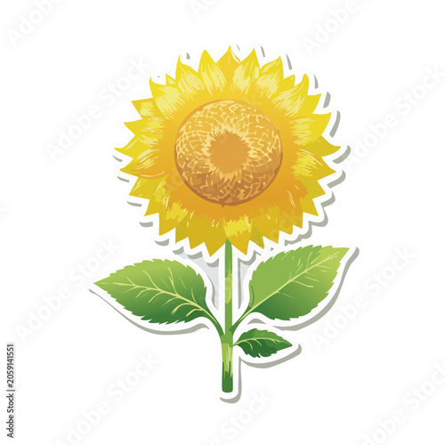 Yellow Sunflower Illustration with Green Leaves