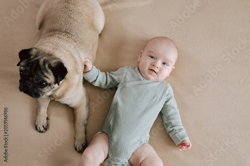 3 month baby boy and pug dog peacefully resting together. Pet and infant lying side by side naturally in harmony with joyful peaceful atmosphere. The concept of relationships between baby and pet dog