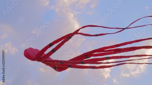 One red kite in the form of octopus is flying in the cloudy sky and swaying in the wind during summer outdoor festival. Childhood, freedom and leisure time concept