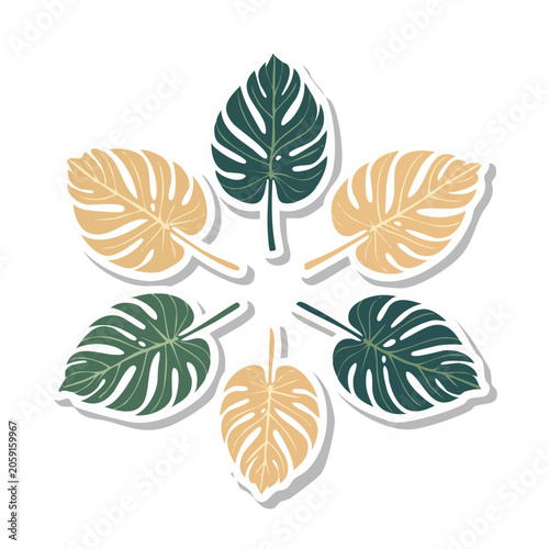 Radial arrangement of monstera leaves in flat design