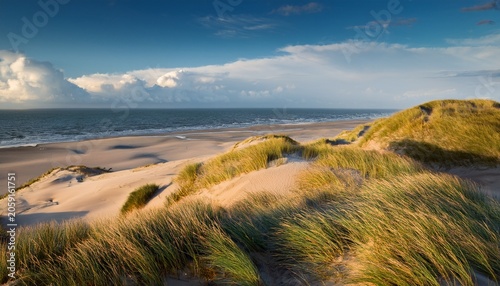 Dune Landscape At The North Sea