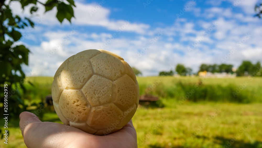 Fototapeta premium A four design bun in the form of a soccer ball with chocolate. World Cup 2026 in different spheres of life. Food for fans. 