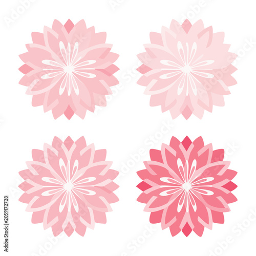 Pink and Red Dahlia Flower Illustrations
