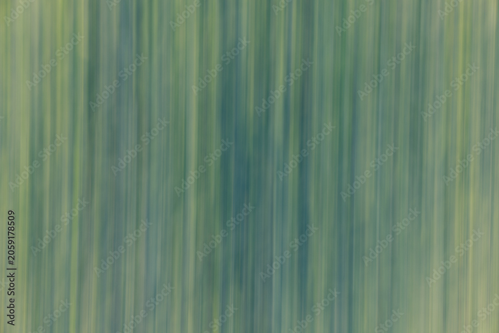 Fototapeta premium Green nature abstract background with motion blur