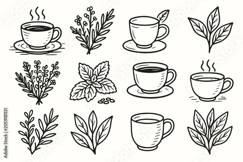 Outline aromatic cup set collection scene herbs vector icon tea teacup leaves