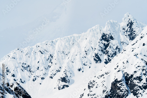 Snow-Capped Peaks of Alaska X