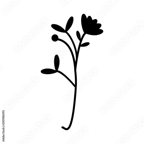 black and white flowers