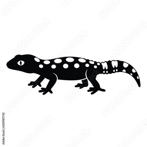 A black gecko with white spots walks on a white background.