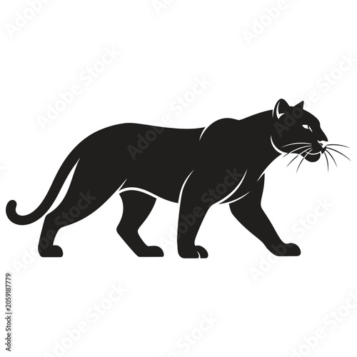 A black panther walks with its tail curled and head held high.