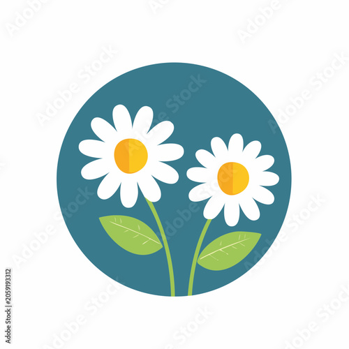 Two Daisies with Green Leaves in a Blue Circle