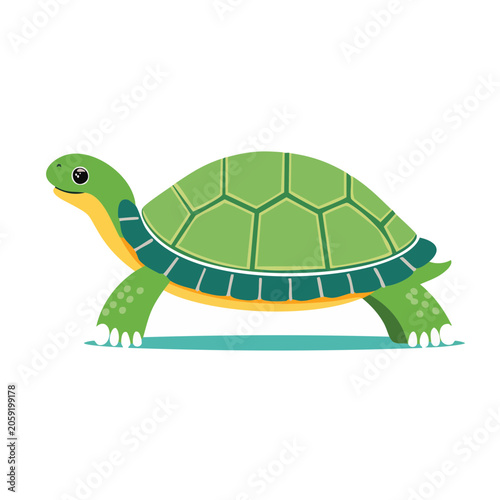 Cute green cartoon turtle illustration