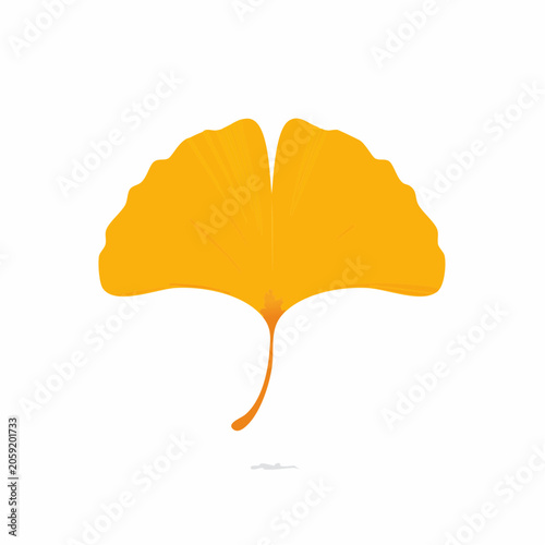 Single Yellow Ginkgo Leaf