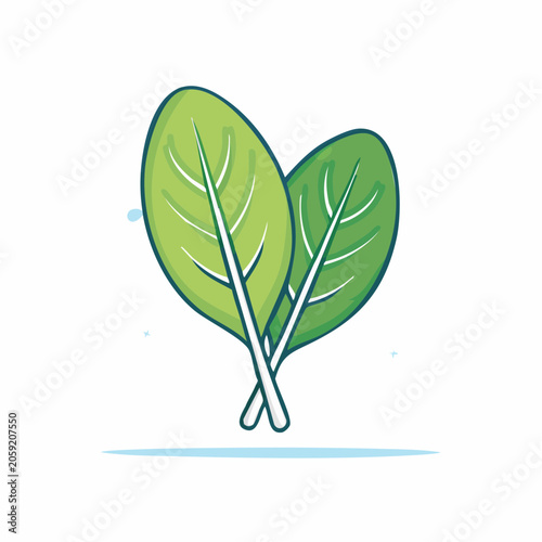 Stylized Illustration of Two Green Spinach Leaves