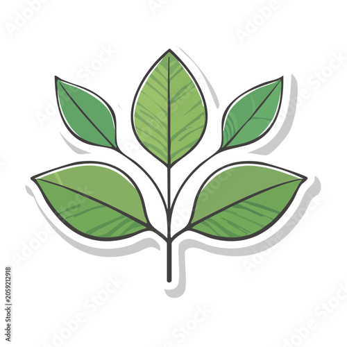 Green Leaf Illustration with Stem on White Background