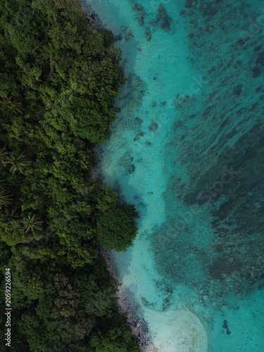 Aerial Dense Forest and Coral Reef with Palm Trees Above