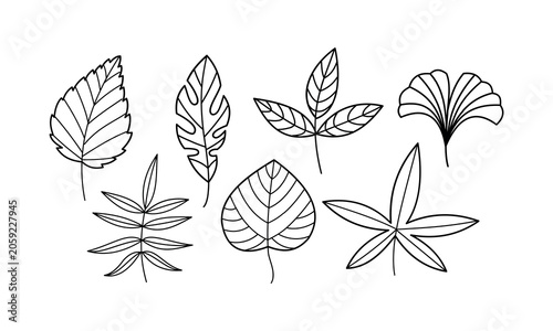 Autumn leaves line art vector illustration set minimalist black and white fall foliage graphic elements for logo branding design